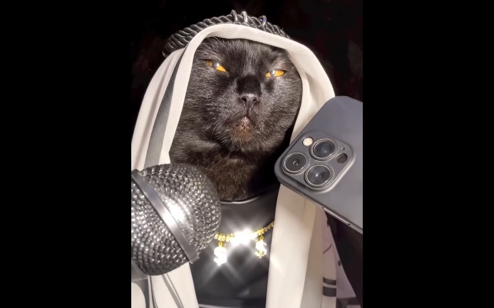 沙雕动物 搞笑动物集锦 每日一笑0813