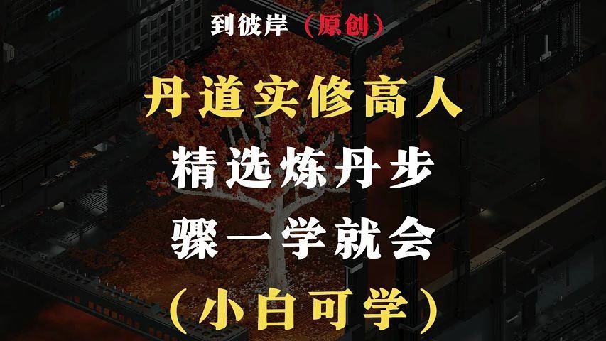 90岁丹道实修高人精选炼丹步骤一学就会!(小白可学)哔哩哔哩bilibili