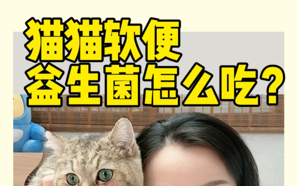 猫猫软便益生菌怎么吃?哔哩哔哩bilibili