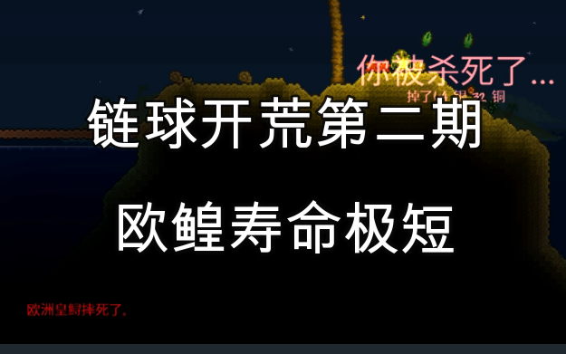 【Terraria】链球开荒第二期 欧鳇寿命极短哔哩哔哩bilibili