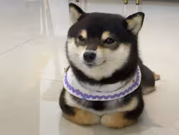 她好像对镜子里的自己很满意