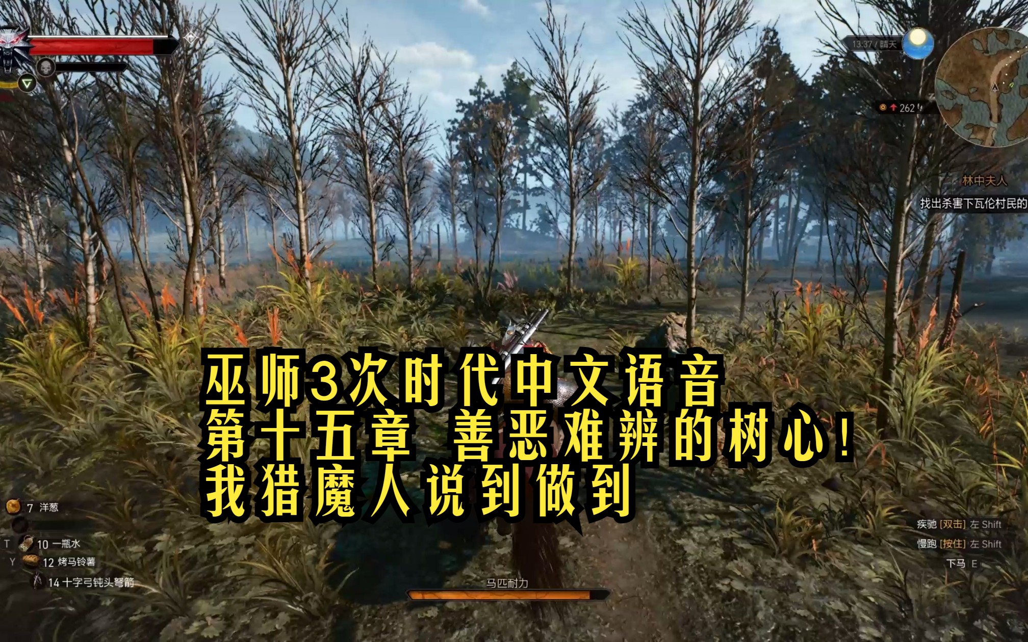 巫师3次时代中文语音 第十五章 善恶难辨的树心!我猎魔人说到做到