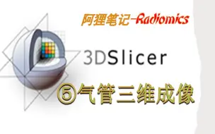 Download Video: 3D Slicer-气管三维成像