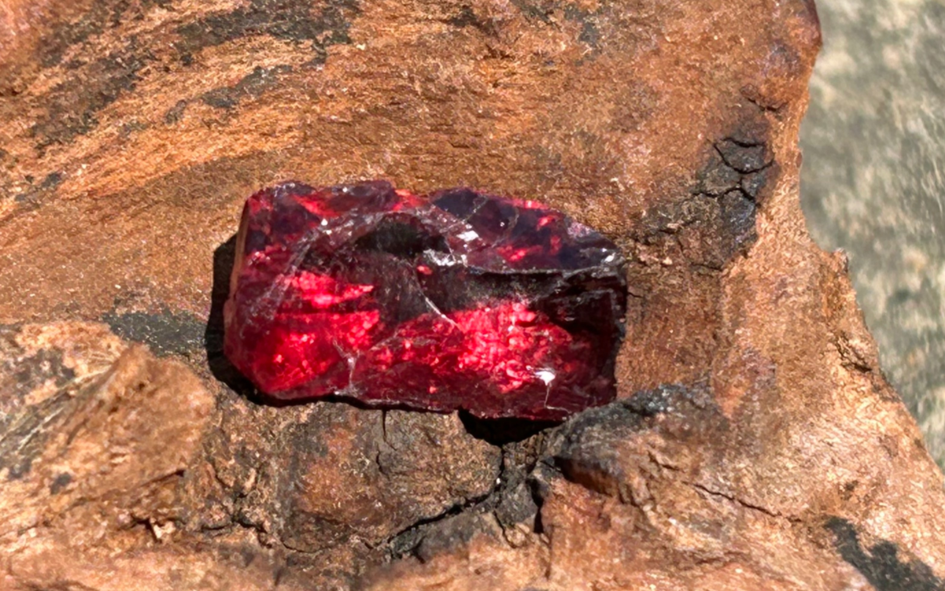 我这道红色雷符 道友可愿试试