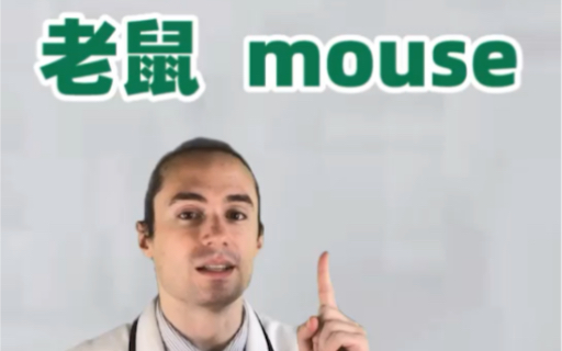 一次学会单词: 老鼠 mouse哔哩哔哩bilibili