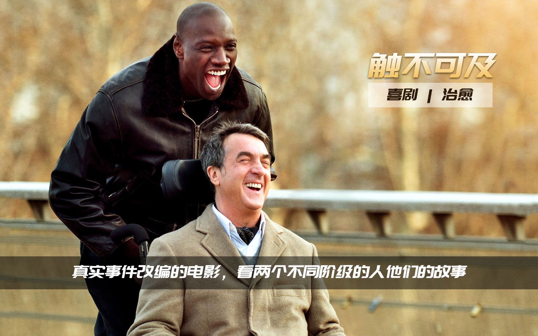 活动作品泪目必看高分催泪电影