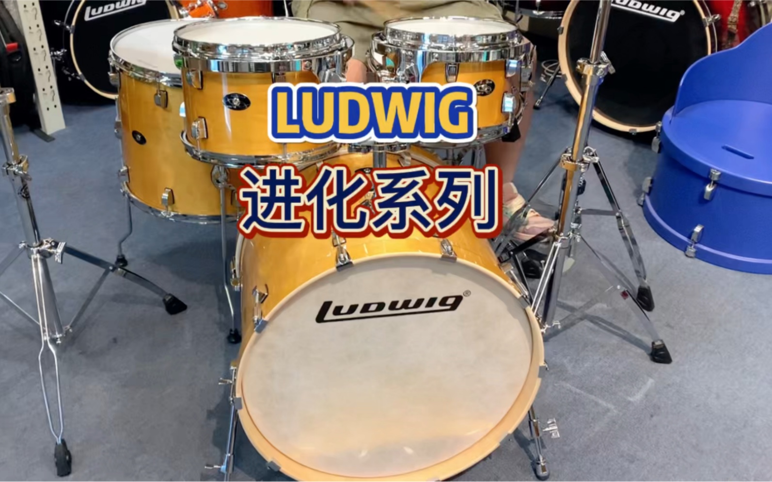 [图]Ludwig Evolution maple 进化系列