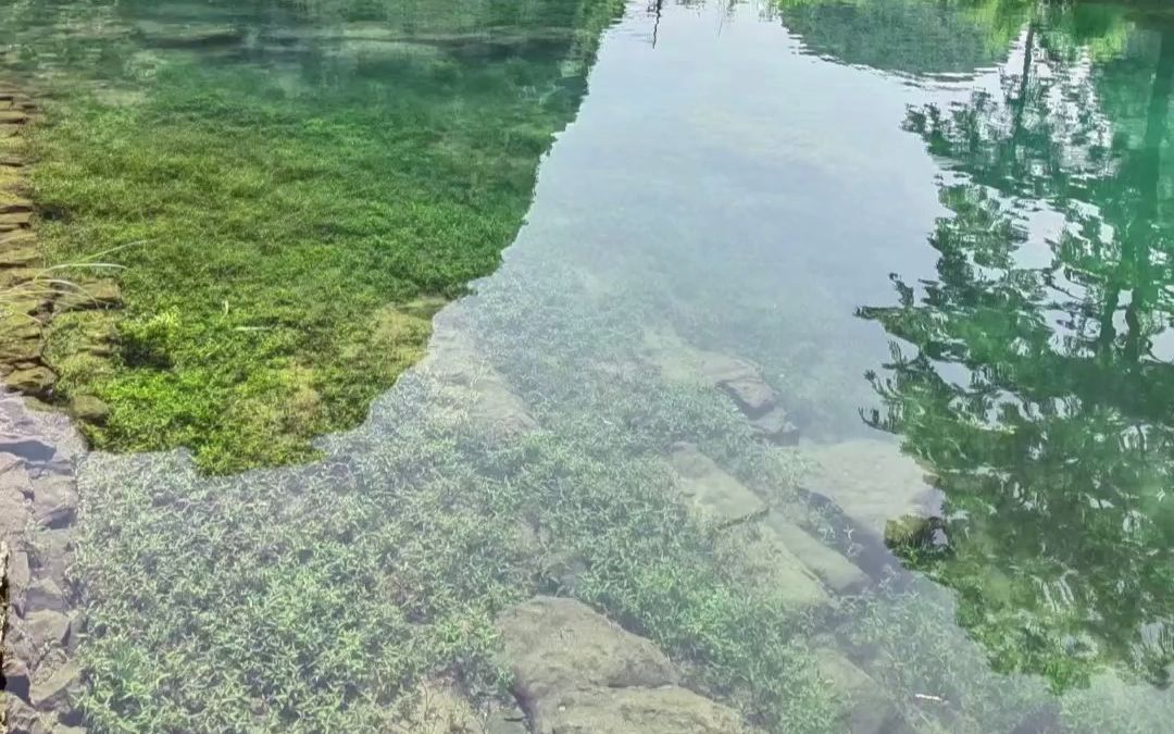 [图]五月，初夏，微风不燥，阳光正好，青秀山的风景真美！