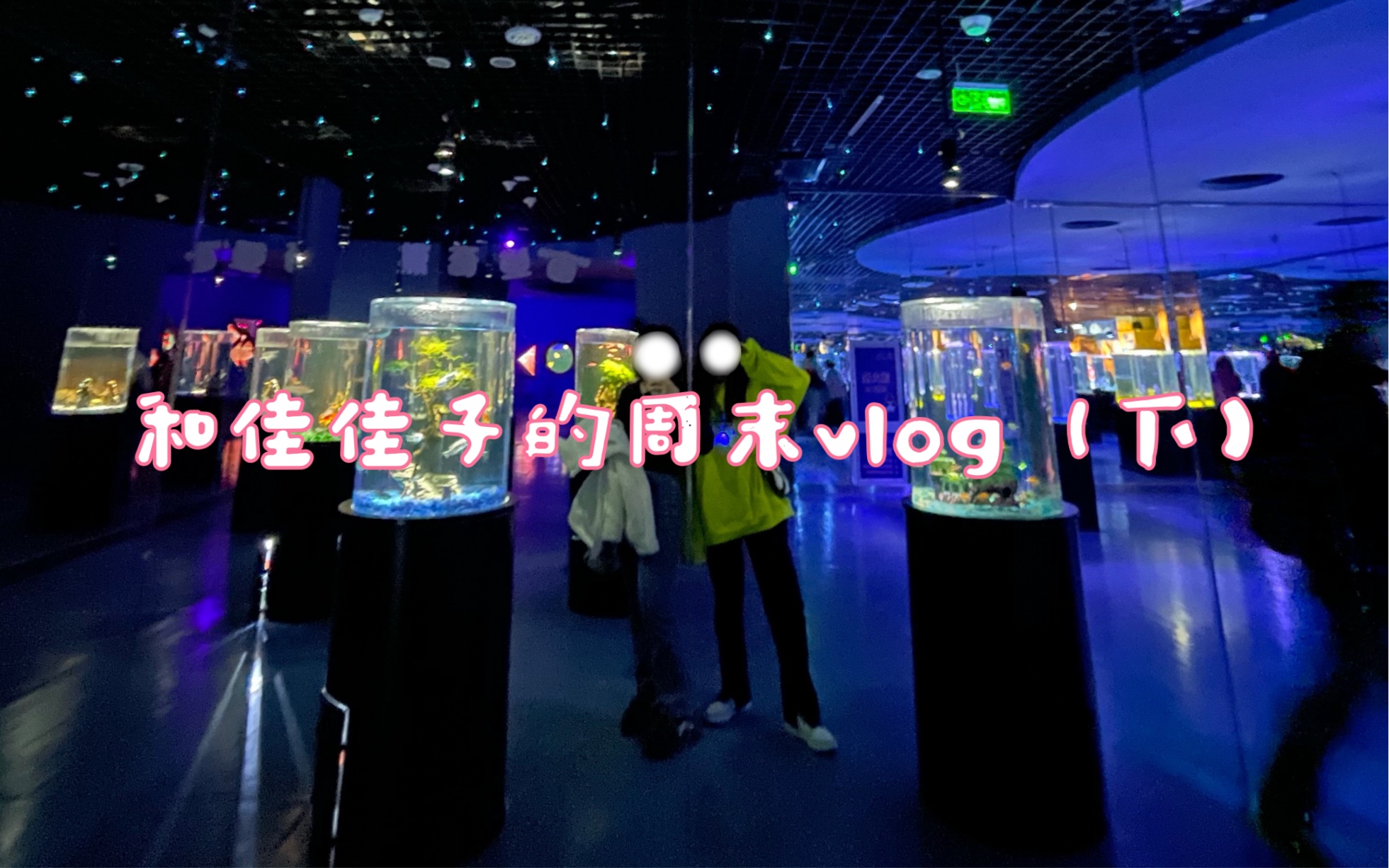 和佳佳子的周末vlog(下)哔哩哔哩bilibili