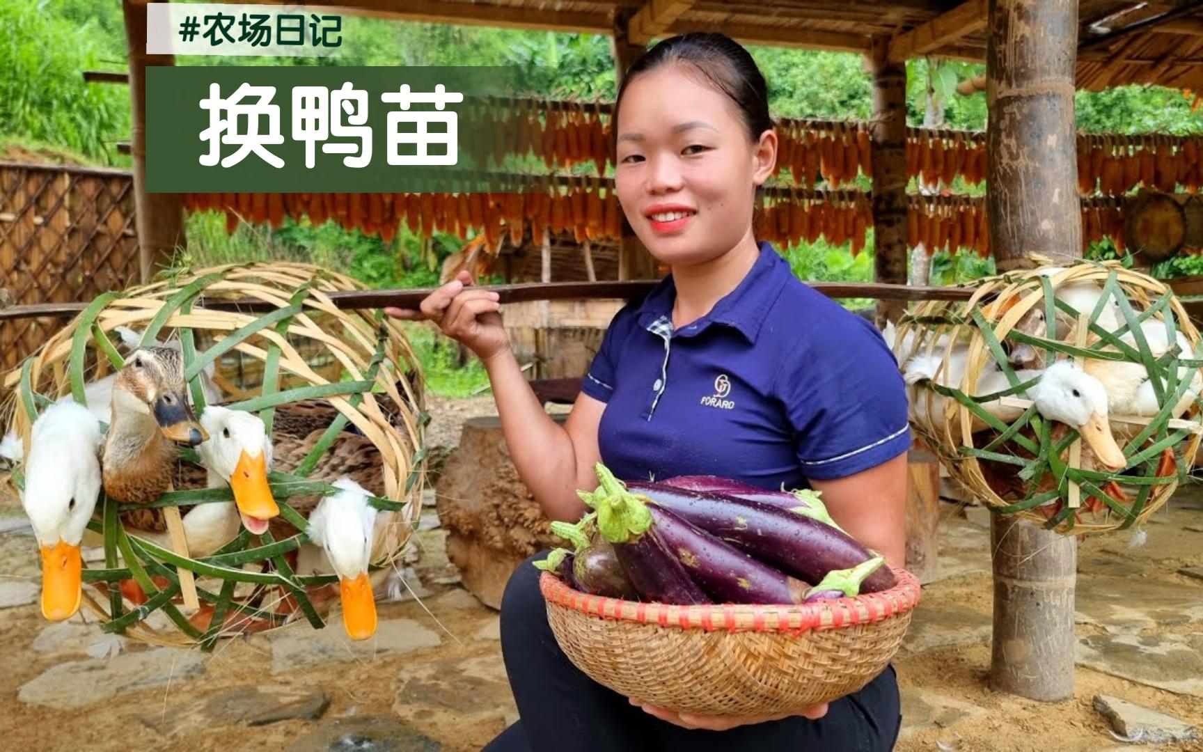 女子深山建农场/肥鸭集市换鸭苗/归园垫窝把苗喂/憧憬美好新生活哔哩哔哩bilibili