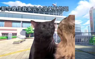 Download Video: 【猫meme】关于我是怎么一见钟情的（2）