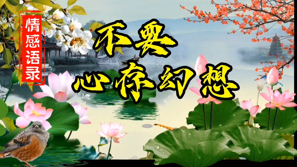 永远不要心存幻想,情感文字,疗治内心