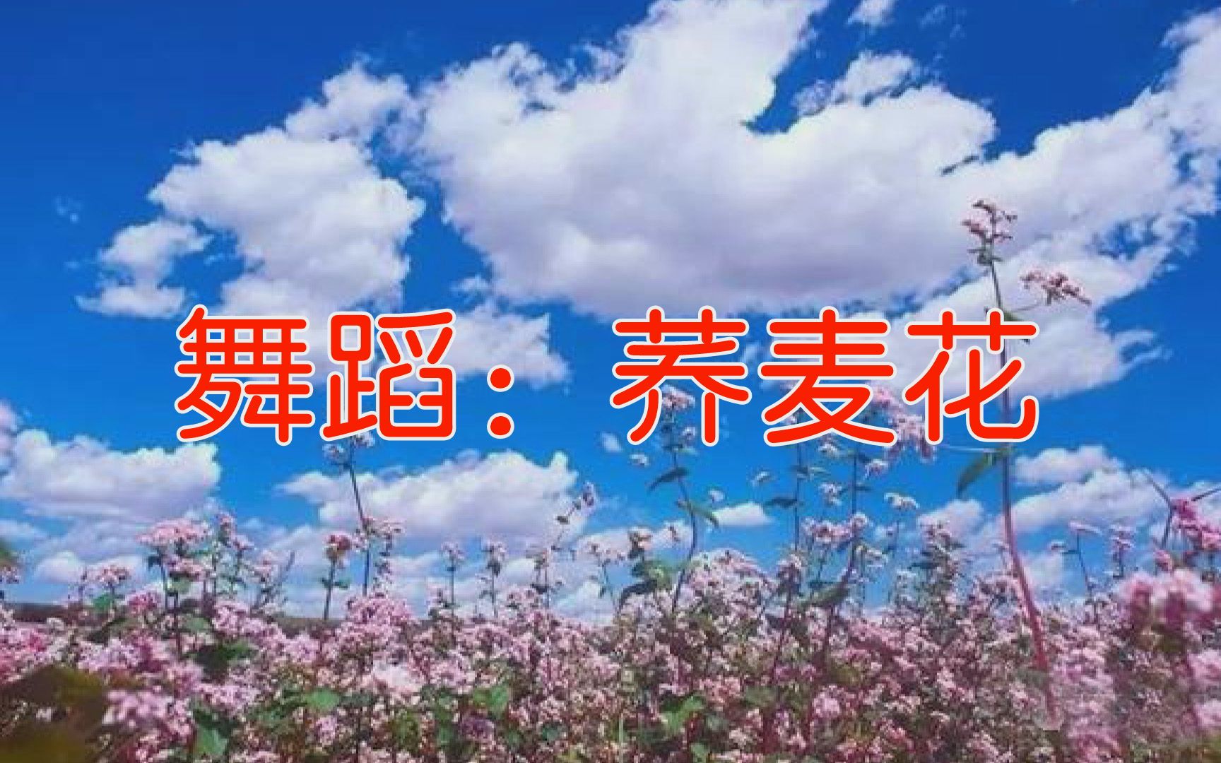 [图]舞蹈《荞麦花》