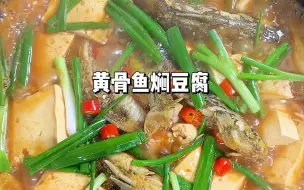 Download Video: 黄骨鱼炖豆腐 酸爽开胃巨巨巨好吃‼️这样做出的鱼一点都还腥鱼肉的鲜美搭配泡椒的酸爽还有吸满汤汁豆腐连不爱吃鱼的老爹都能狂炫三碗米饭