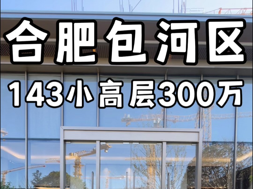 合肥包河区改善小高层杉杉奥特莱斯旁两梯两户143平300万#合肥小高层#合肥新房#合肥新房推荐哔哩哔哩bilibili