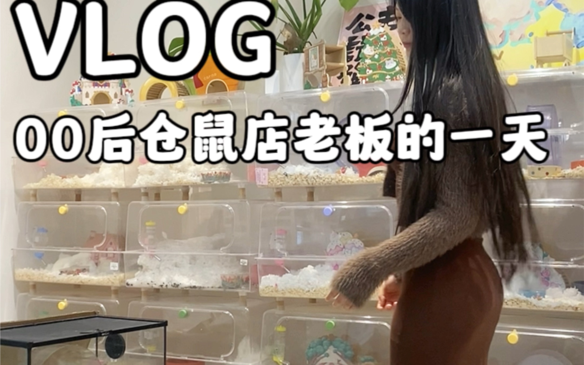 毕业不上班 开了家仓鼠店!小动物围绕!哔哩哔哩bilibili