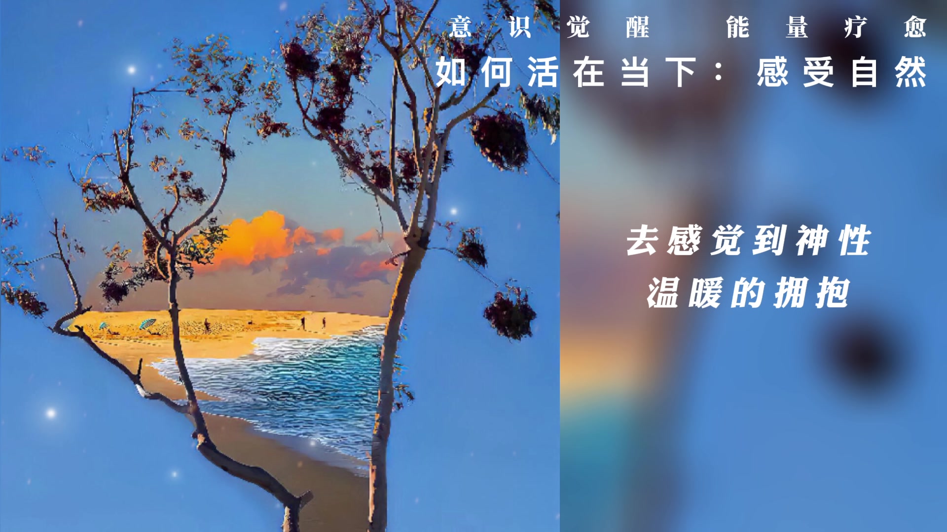 活在当下链接自然