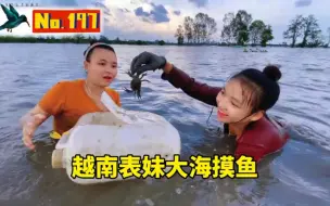 Download Video: 越南表妹跟闺蜜一起来大海里摸鱼，鱼是摸不到了，螃蟹倒是摸了不少，今晚来表妹家吃螃蟹