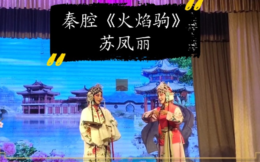 秦腔《火焰驹》表花 苏凤丽