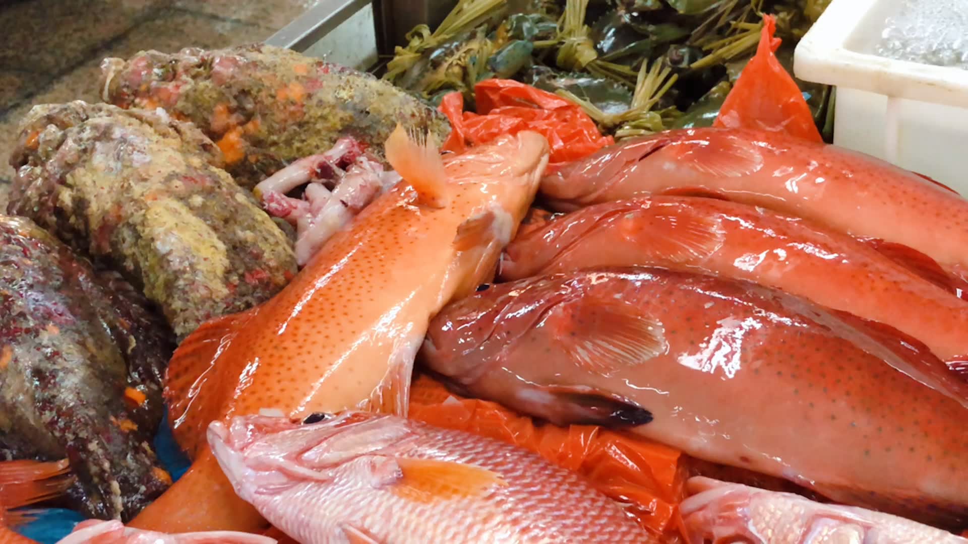 广东市场现大量高级海鲜,大鲍鱼东星斑红鲷石头鱼青蟹,真是大开眼界