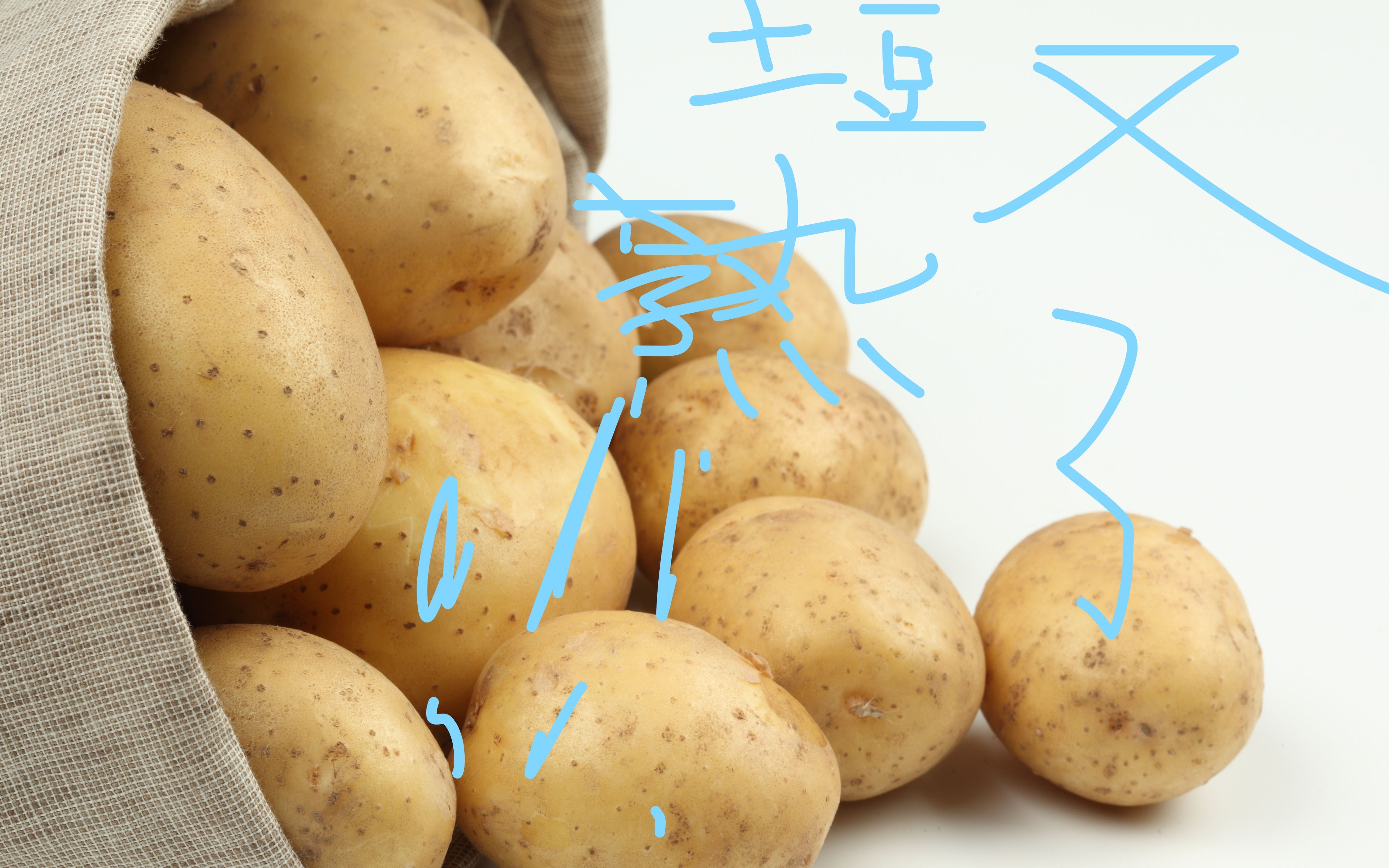 土豆下午又熟了(彩虹六号)@育碧_哔哩哔哩_bilibili