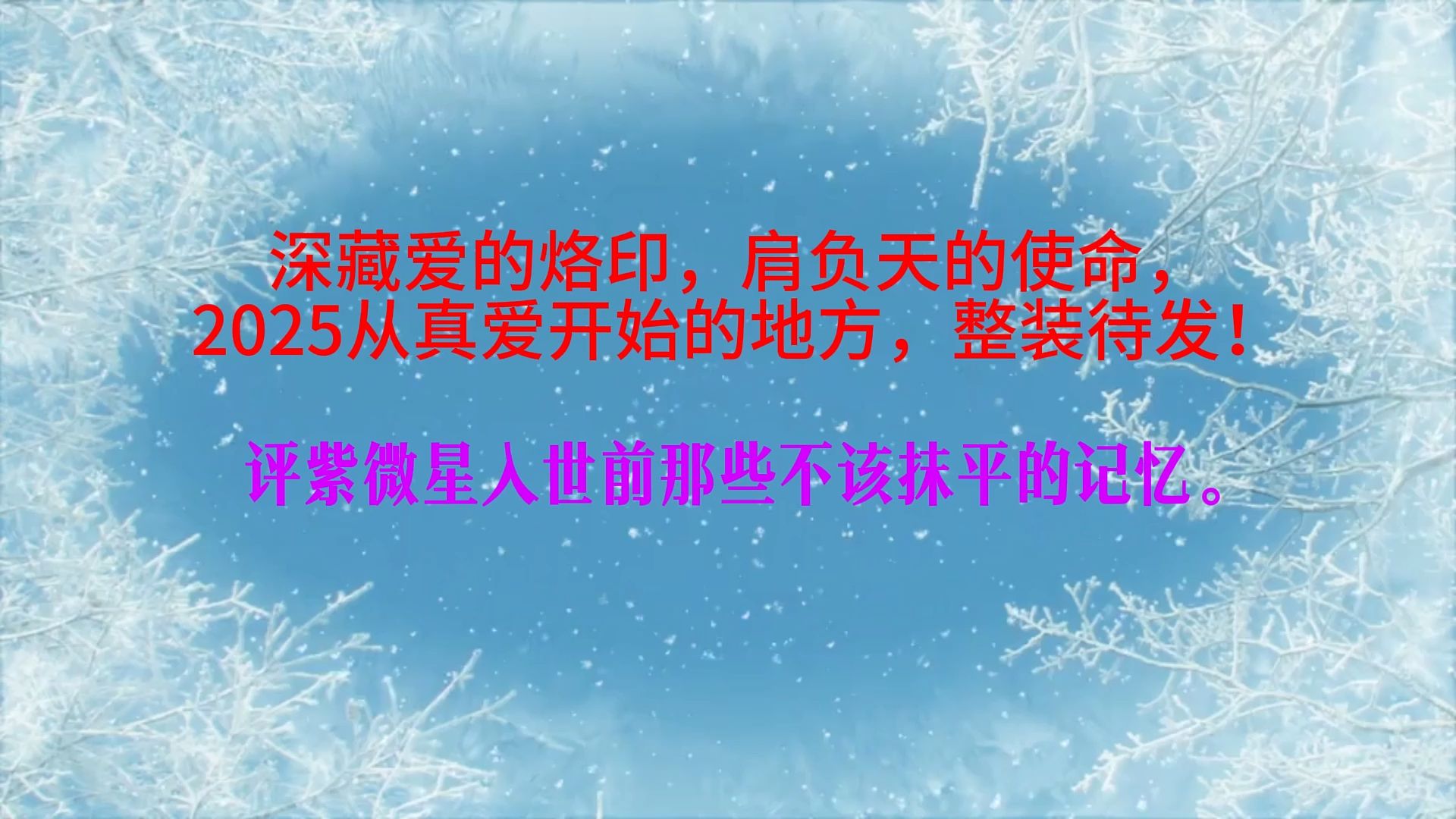 2025从真爱开始的地方,整装待发——评紫微星入世后不该抹平的记忆哔哩哔哩bilibili