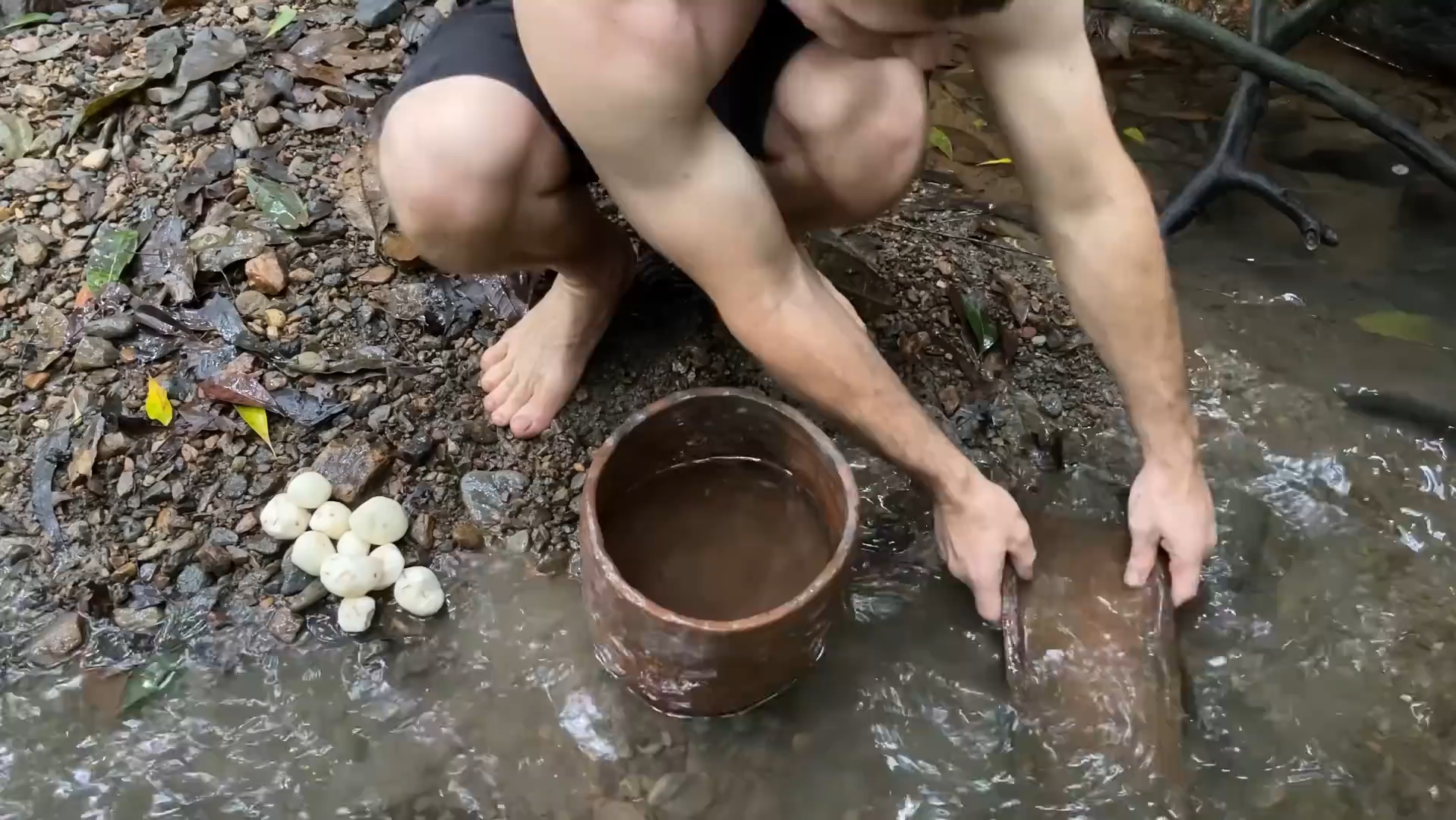 primitive technology(澳洲小哥) 7月5日 马铃薯大餐