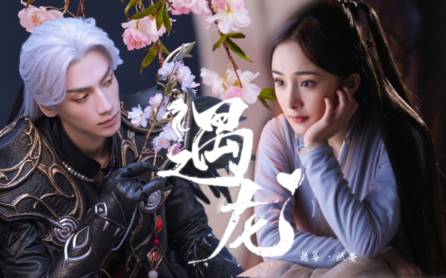 【杨幂·罗云熙】遇龙|甜妹·龙王 既然你叫流萤,不如我就赠你漫天