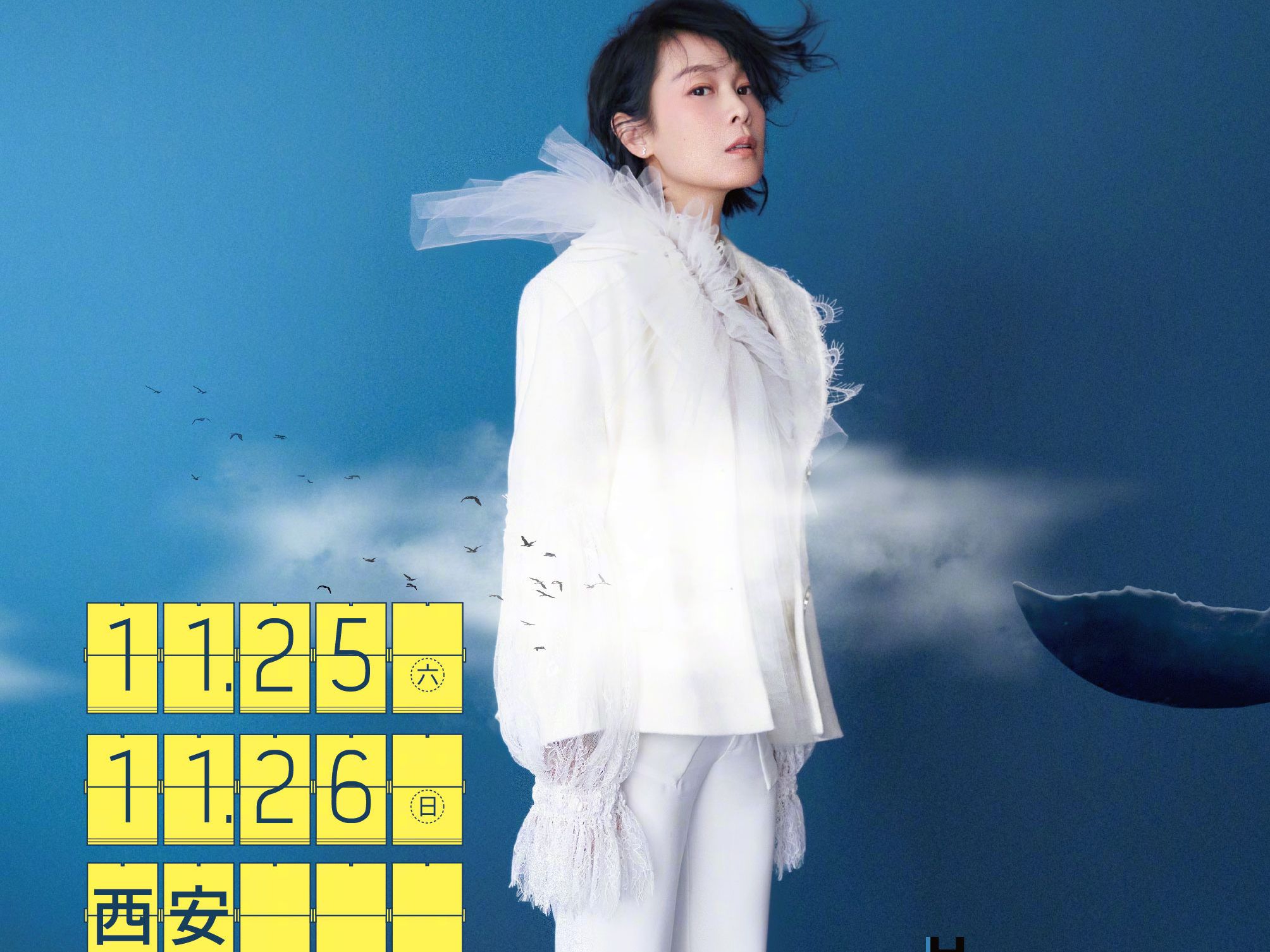 刘若英飞行日演唱会(西安)现场-分开旅行