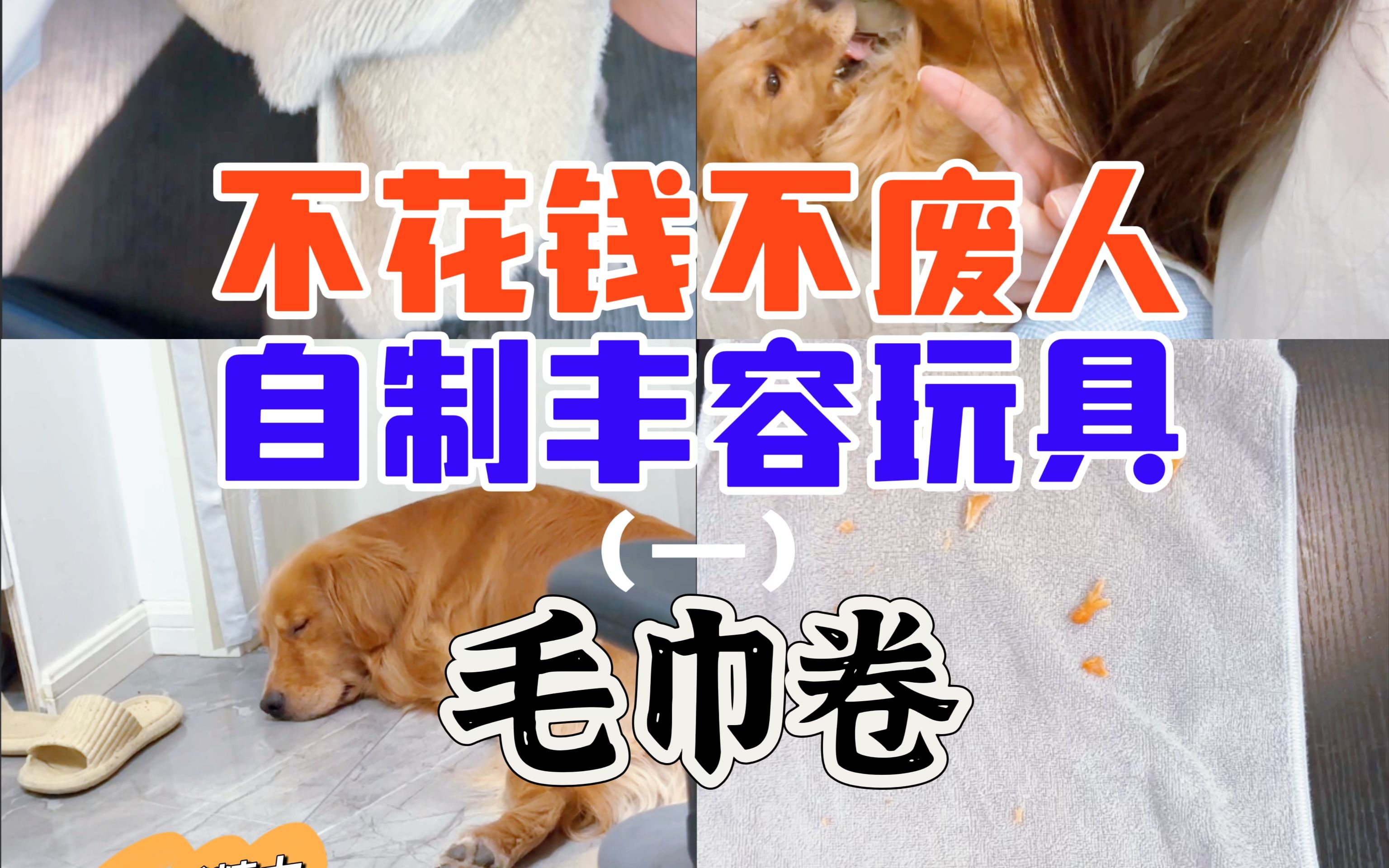 不花钱不废人消耗狗狗精力的方法(1)哔哩哔哩bilibili