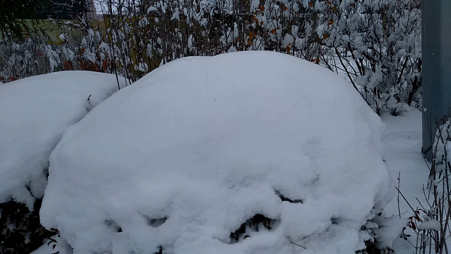 [图]沈阳熙湖踏雪行（20211109）