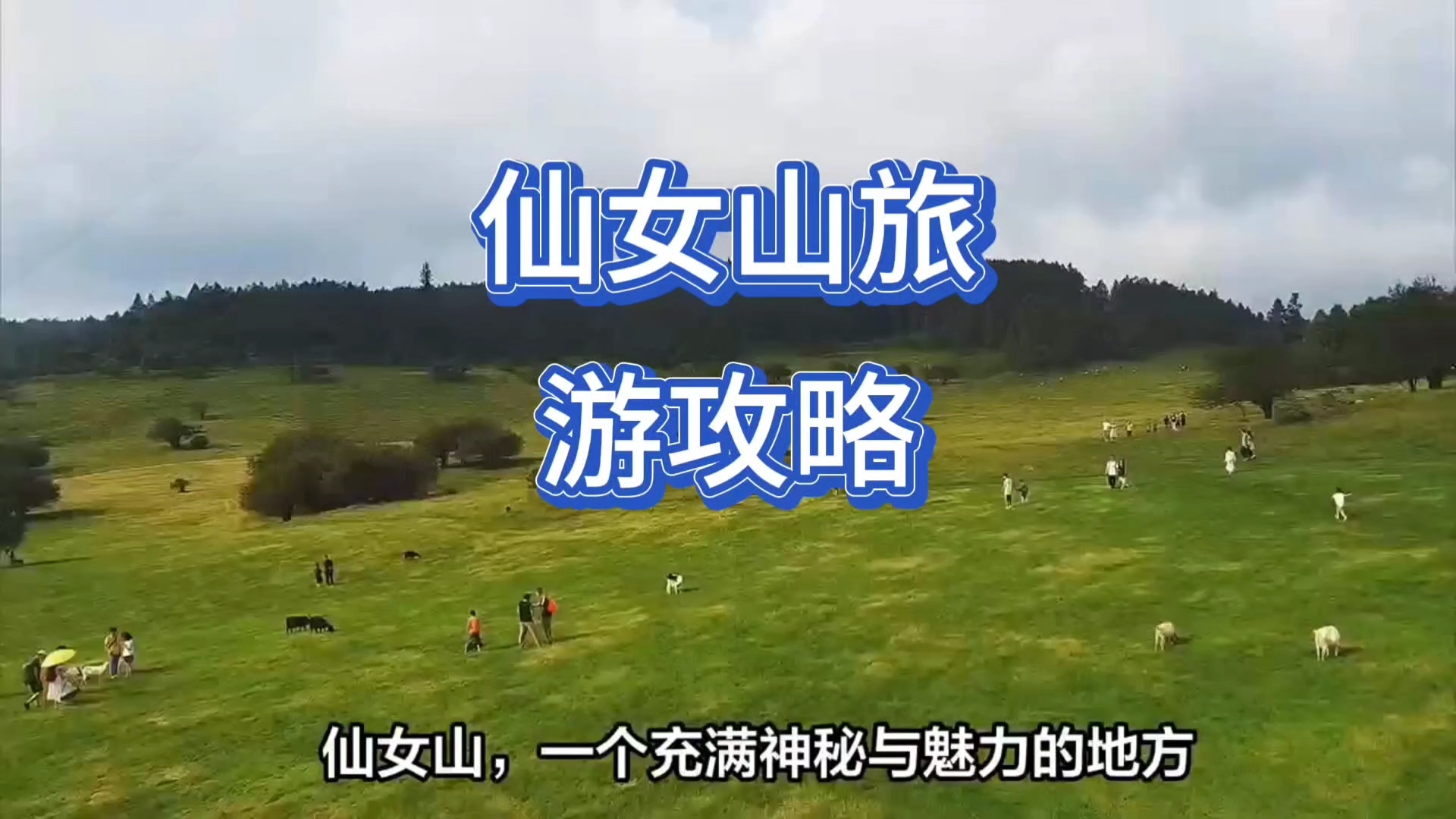 仙女山旅游攻略哔哩哔哩bilibili