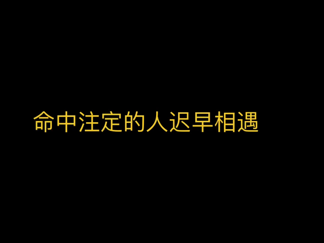 命中注定的人迟早相遇哔哩哔哩bilibili