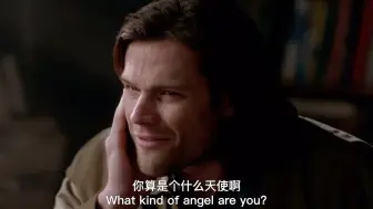 Download Video: 【SPN/DS】没听过「温家双煞」的大名你算哪门子的天使