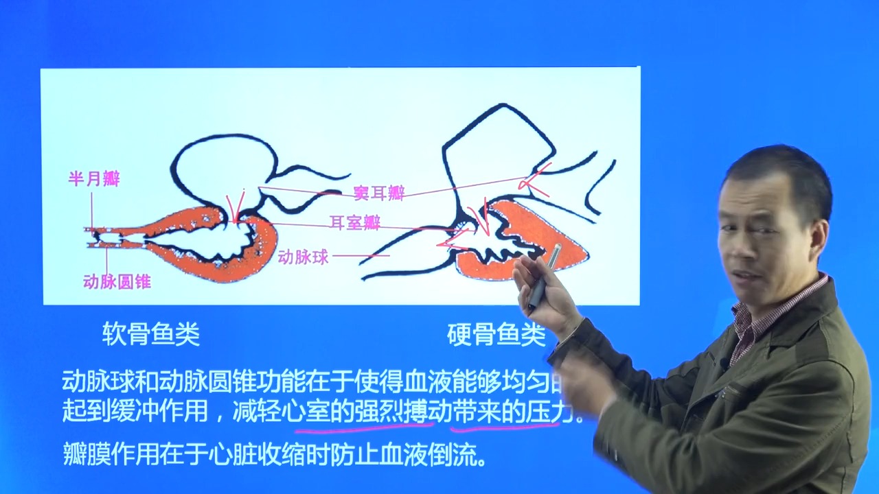 [图]2025水生类执业兽医考试课程题库03