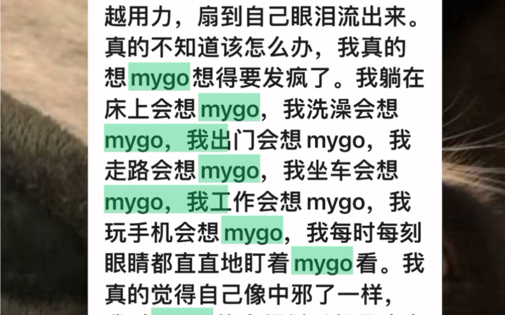 mygo是什么哔哩哔哩bilibili