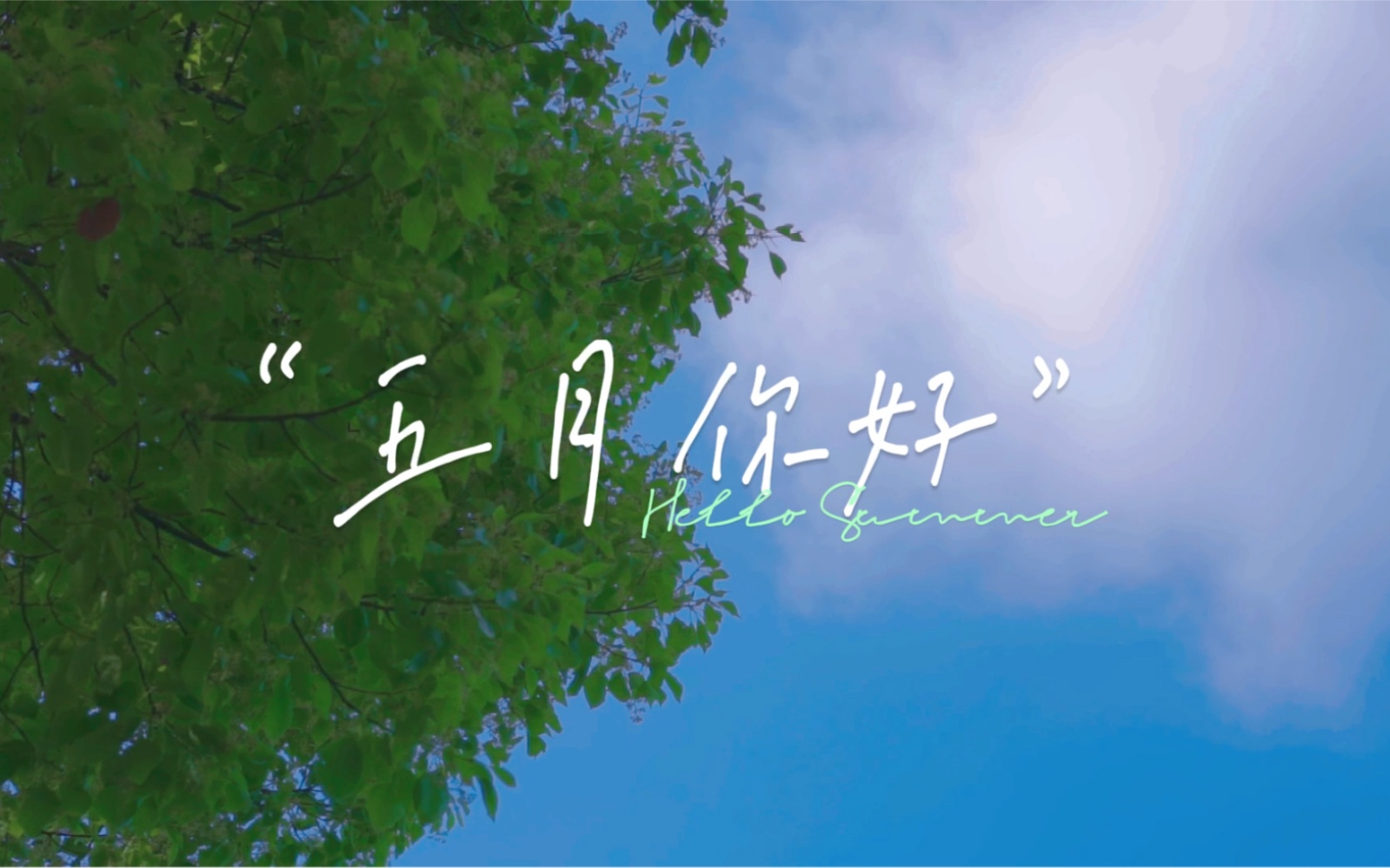 活动  五月你好| hello夏天|宫崎骏治愈系天空