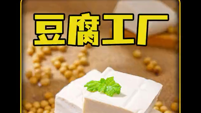 纯手工豆腐制作全过程!哔哩哔哩bilibili