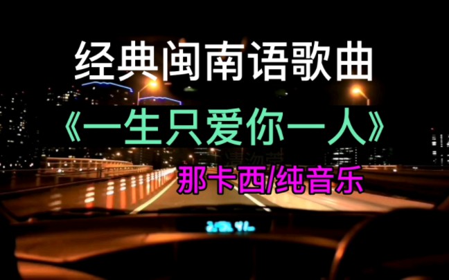 经典闽南语歌曲《一生只爱你一人》那卡西,纯音乐哔哩哔哩bilibili