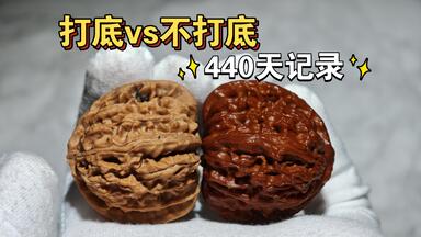顽点东西/龙门涧一个新手玩家关于文玩核桃的分享（二）_哔哩哔哩_bilibili