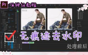 Download Video: 【pr保姆级去水印教程】如何既保证画面完整又可无痕去水印?