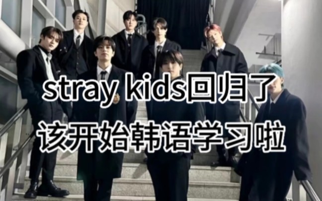 【迷粉姐妹进!】为了Stay kids拿下韩语topik6级!!!韩语pdf教材笔记寻迷粉姐妹继承啦~哔哩哔哩bilibili