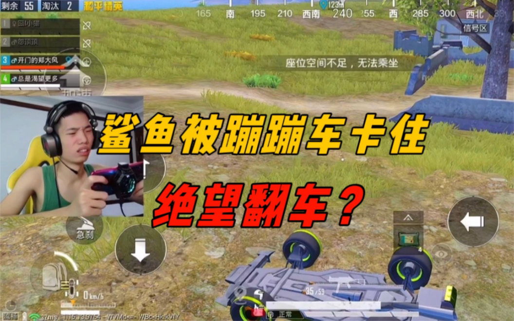 《鲨鱼绝望翻车冥场面!被困蹦蹦车底下不去,体会到真正的绝望》-鲨雕哟sdy-鲨雕哟sdy-哔哩哔哩视频