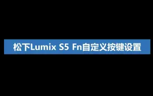 Download Video: 松下Lumix S5 Fn自定义按键设置