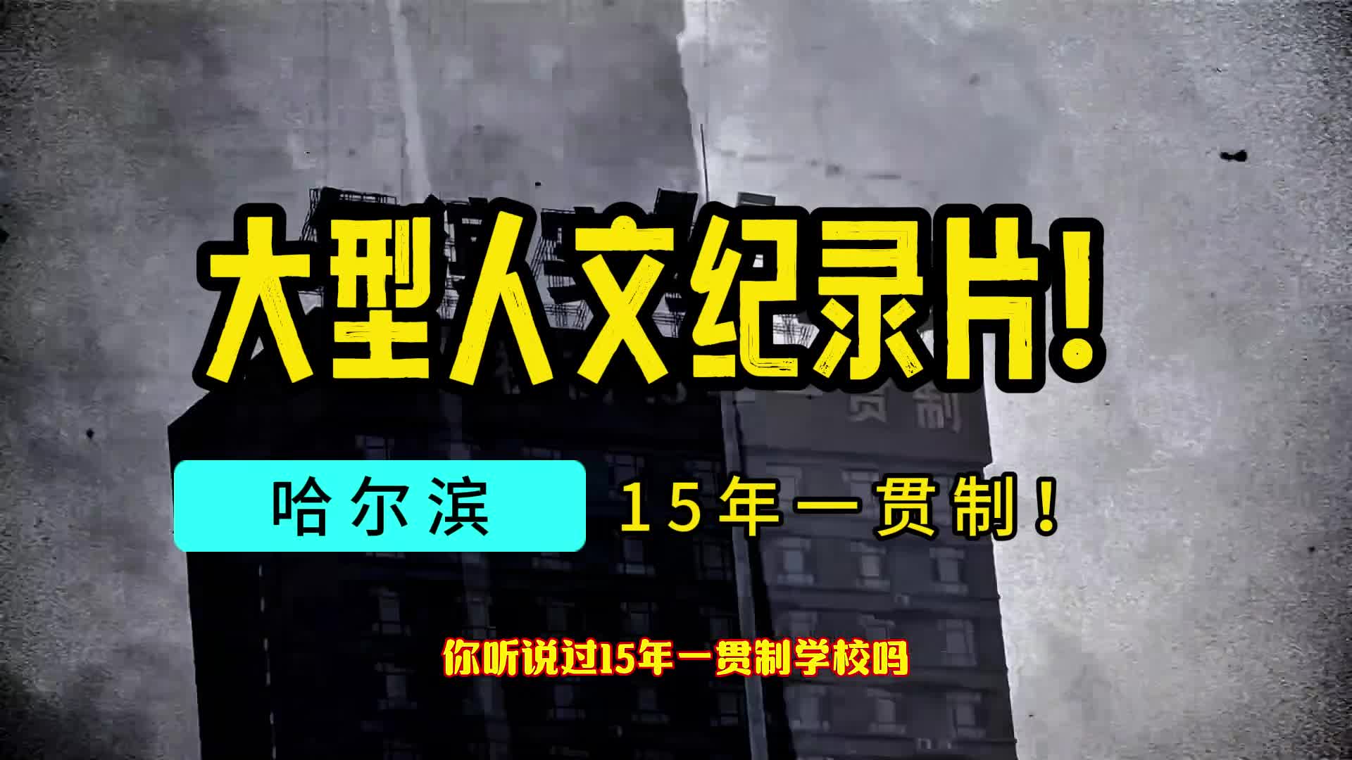 大型人文纪录片!15年一贯制!哔哩哔哩bilibili