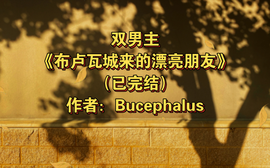 双男主《布卢瓦城来的漂亮朋友》已完结 作者:Bucephalus,欧风 正剧 剧情【推文】长佩哔哩哔哩bilibili