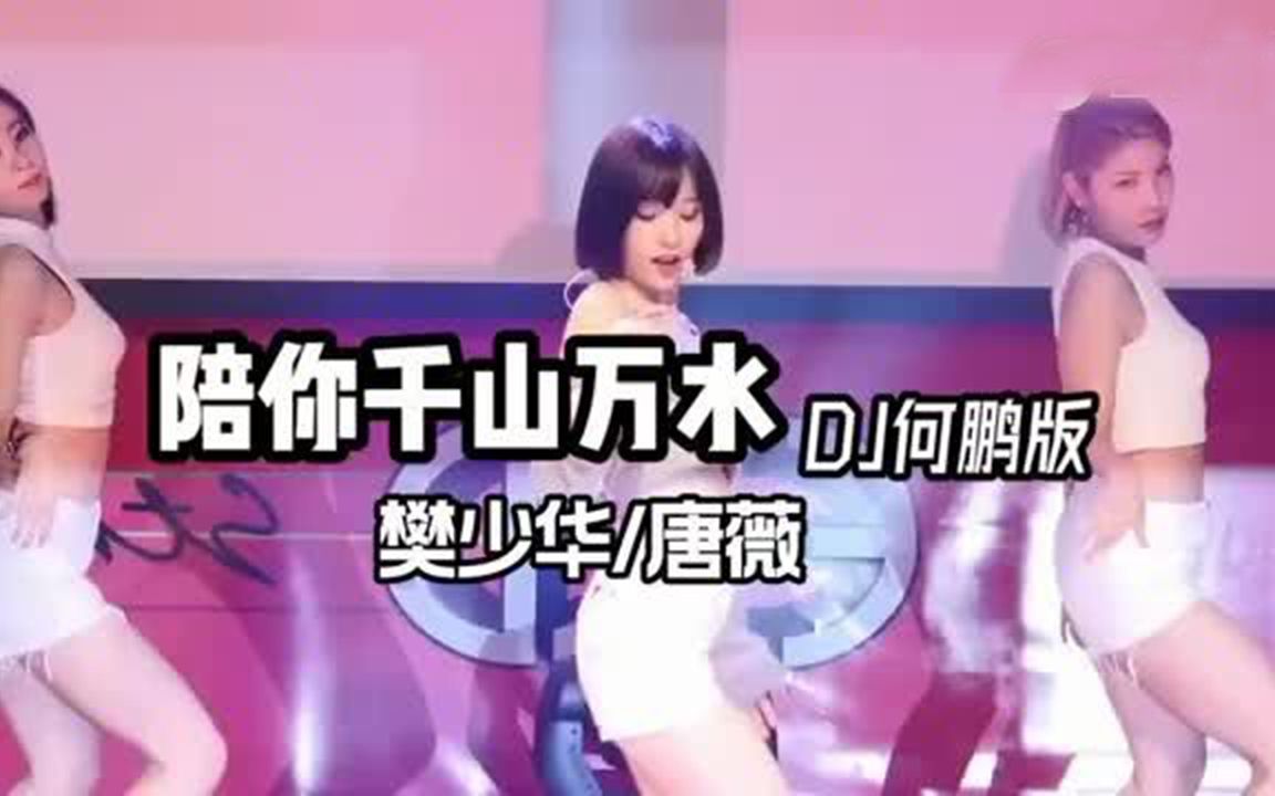 [图]【劲爆DJ舞曲】陪你千山万水 (DJ何鹏版)