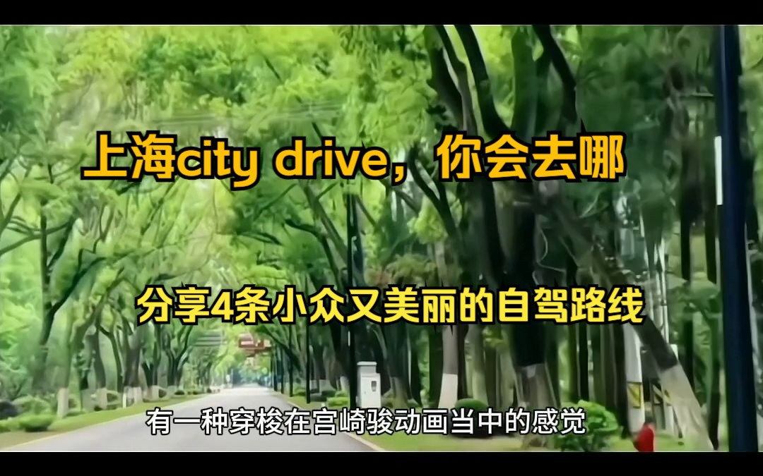 上海city drive你会去哪,分享上海4条小众又美丽的自驾路线哔哩哔哩bilibili