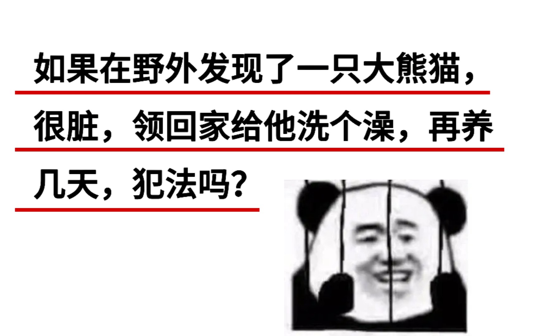 如果在野外发现熊猫,领回家给他洗澡,再养几天犯法吗?哔哩哔哩bilibili