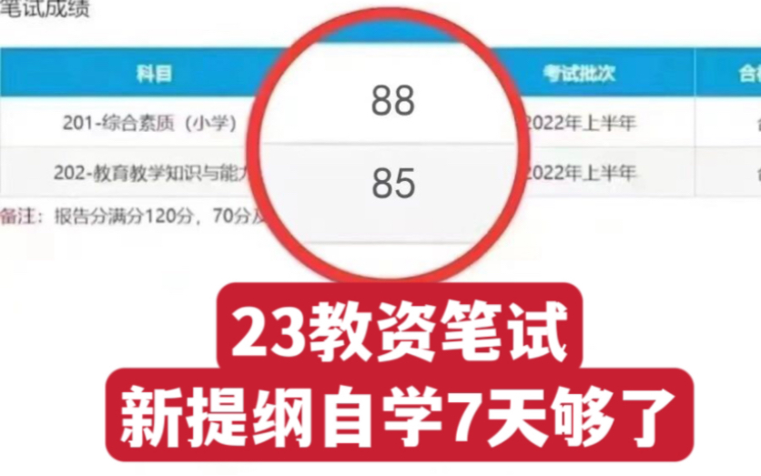 2023教资笔试新提纲,就83页重点,7天背完稳稳85+上岸,2023教师资格证笔试幼儿小学初中高中科目一科目二综合素质教育知识与能力重点笔记哔哩哔...